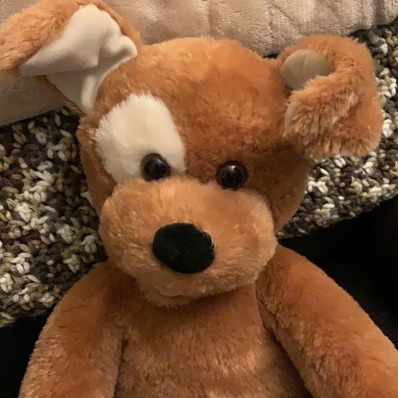 Build a bear classic dog - EUC!! $20! - Picture 5 of 8